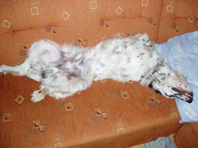 Foto: kone�n� pohodl�