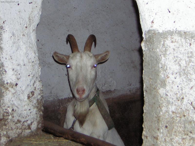 Foto: L�za-D�vej se mi do o��!!!!!