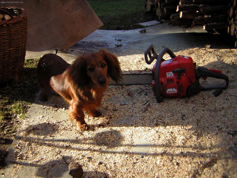 Foto: Na�e Arina-D�evorubec