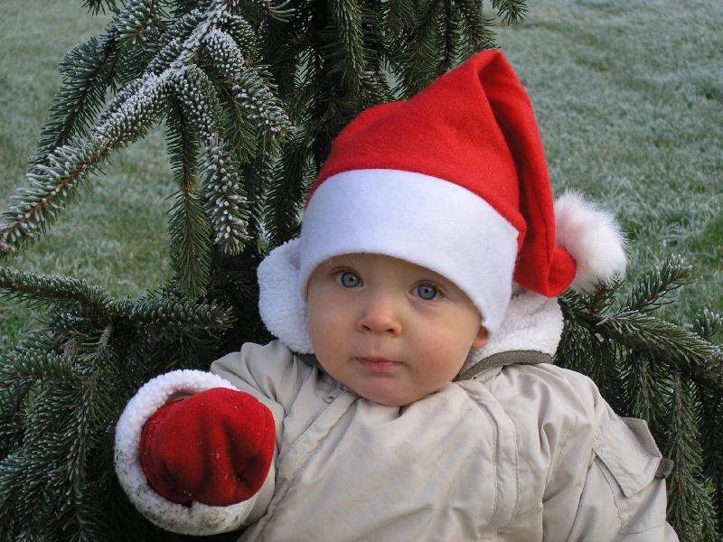 Foto: zima u� se bl��-mal� sant�k