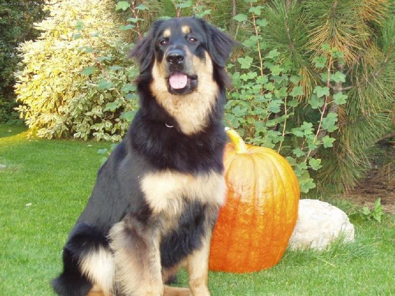 Foto: Tagys a  d�n�-Tak takhle hl�d�m d�ni!!!