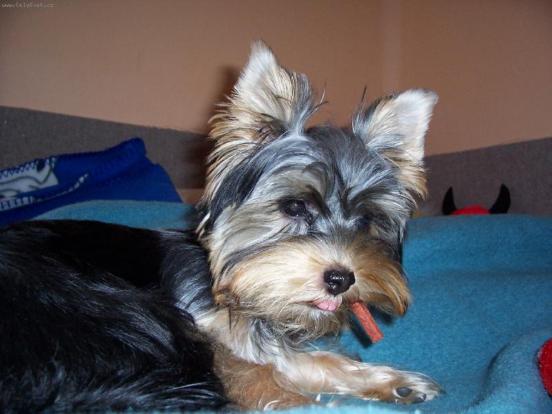 Foto: terezka-d� si n�kdo semnou:-)