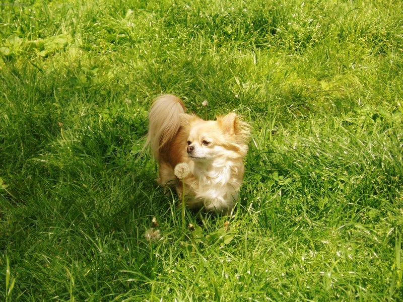 Foto: Zasn�n� Ariska