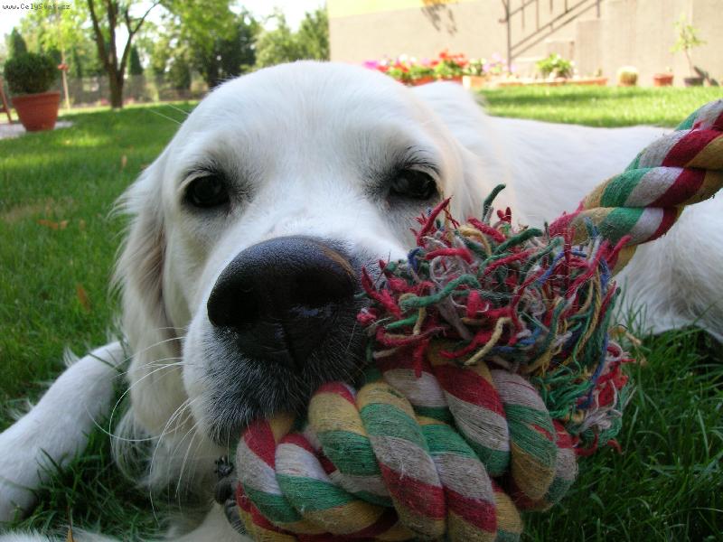 Foto: poj�te pane, budeme si hr�t