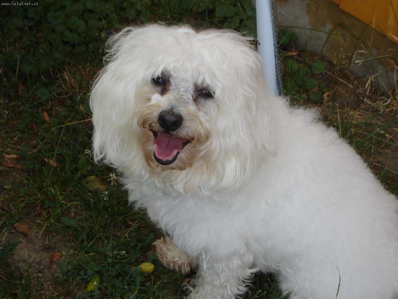 Foto: Den�sek-�sm�v!!!!!!!!!!!