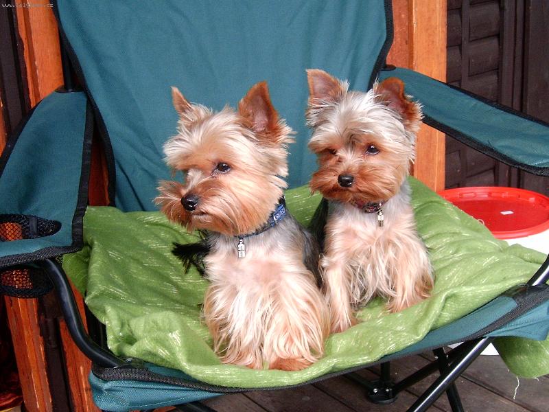 Foto: Jon� a Melicharov�