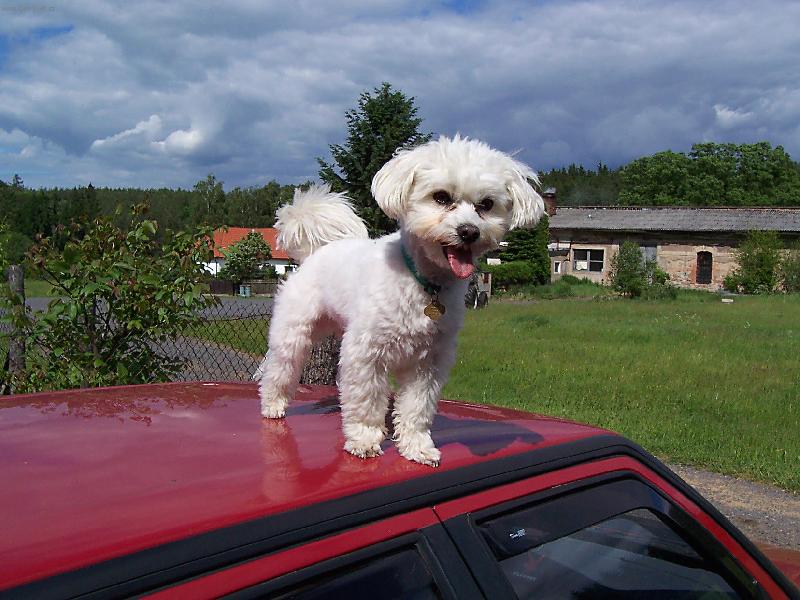 Foto: Max�k-na str�i