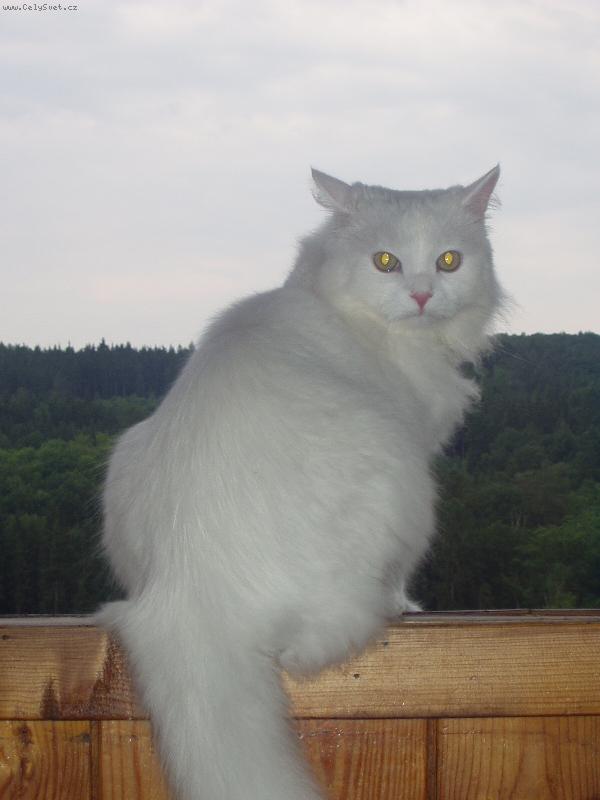 Foto: Ad�mek-Ad�mku... kuk!!! ;)