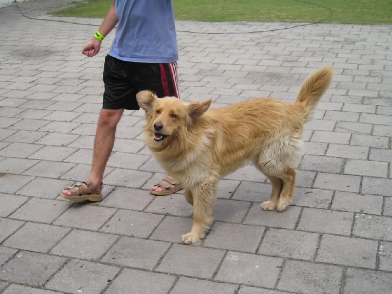 Foto: Conny-Let�m!