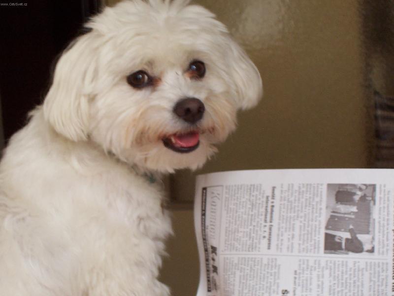 Foto: Max-to je po�ten��ko