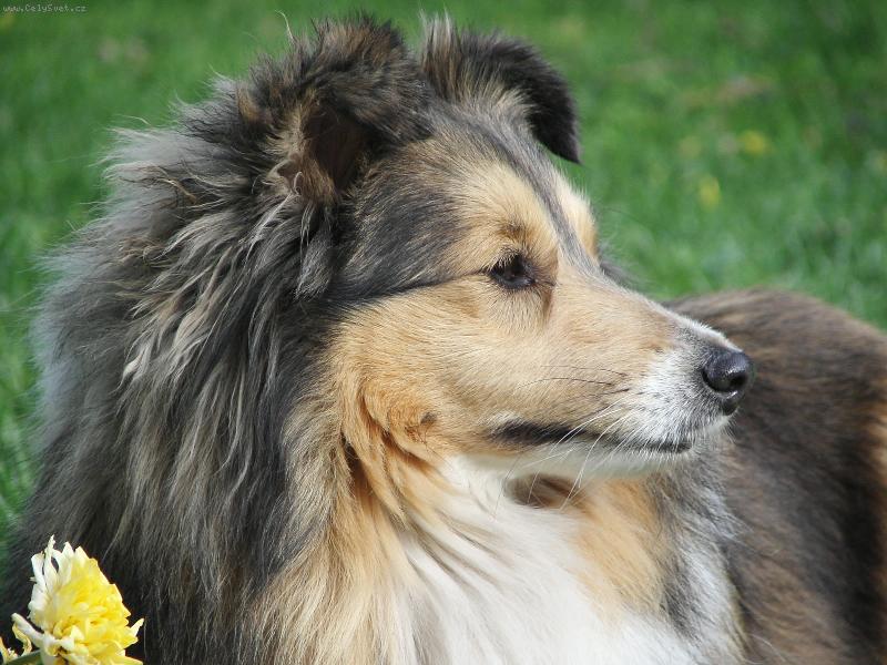 Foto: Keep Smiling z ��blovy stud�nky-portr�t na�� smailinky