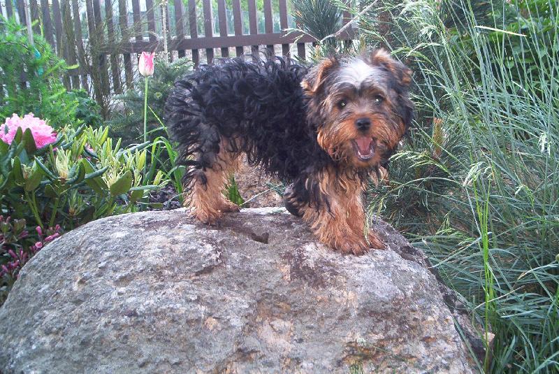 Foto: TO JE M�J OBR�NCE-ENDY