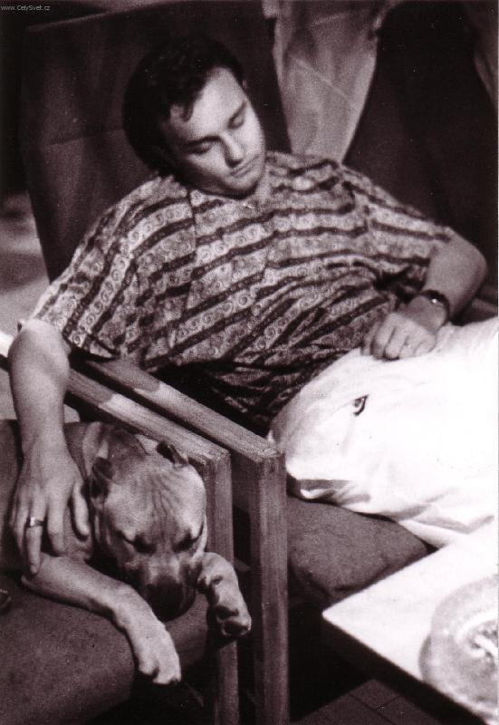 Foto: Pes, v�rn� p��tel �lov�ka...