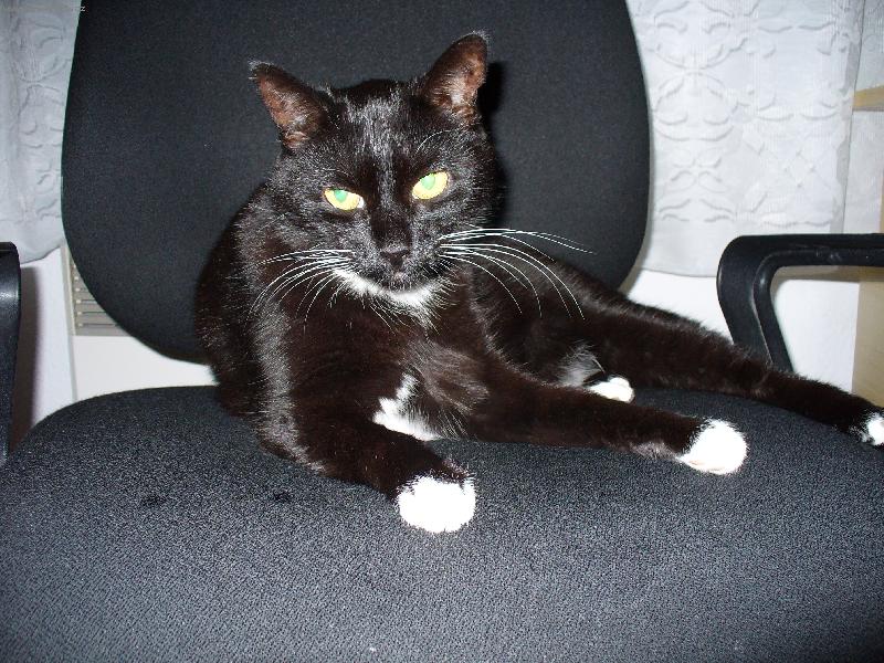 Foto: Mike�-Kocour na �idli