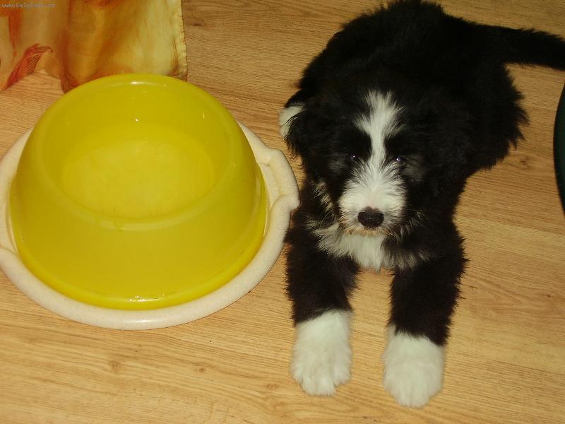 Foto: AYLINKA-MOJE STENATKO AYLINKA