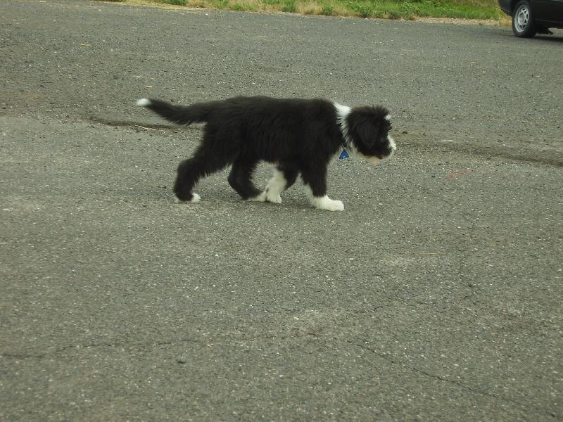 Foto: AYLINKA-AYLIK MA STOPU A JDE PO NIO