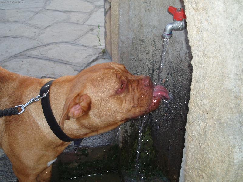 Foto: Samira-v �ecku je vedro a ��ze�