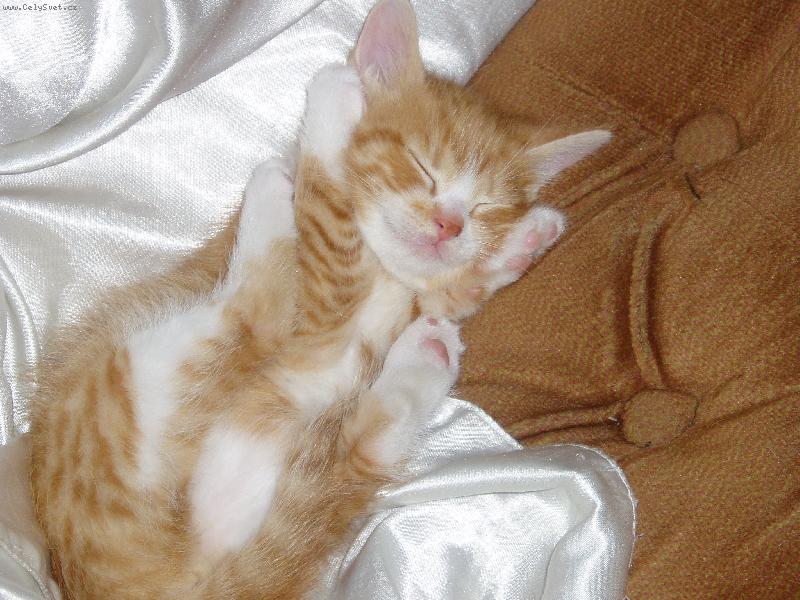 Foto: po pr�ci je nutn� odpo�inek