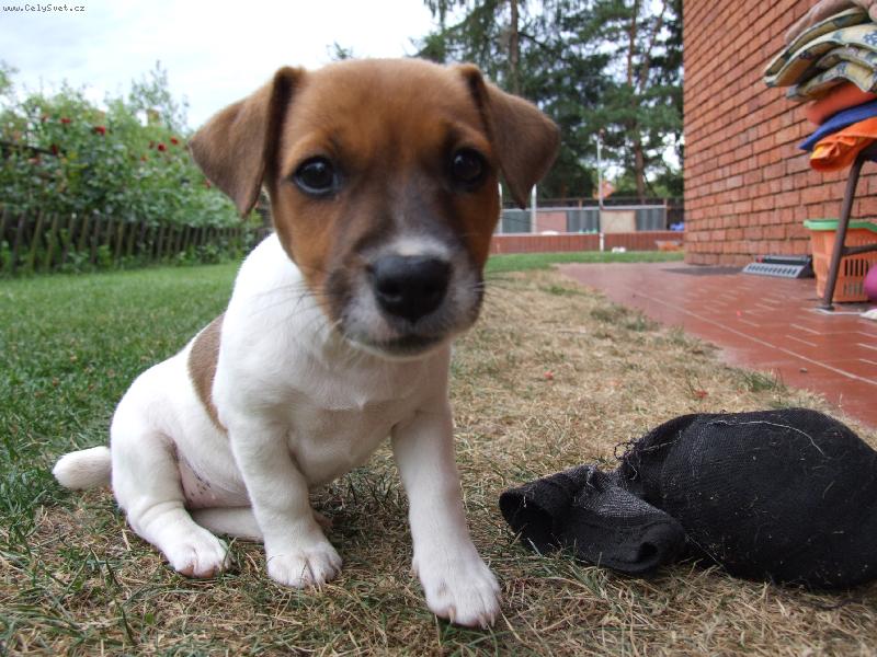 Foto: kouk�m jak nevi��tko,ale jsem jak pytel blech!!