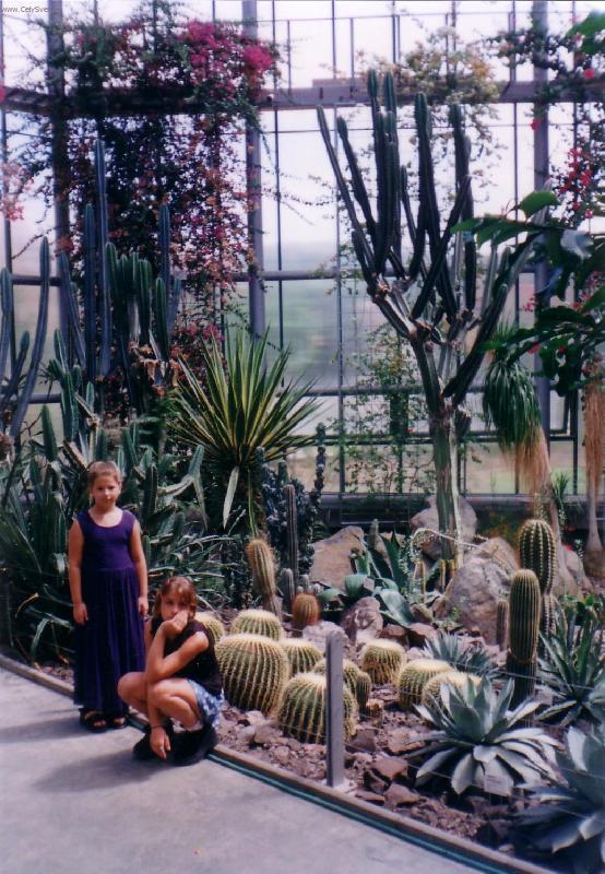 Foto: rostliny Mexika 1