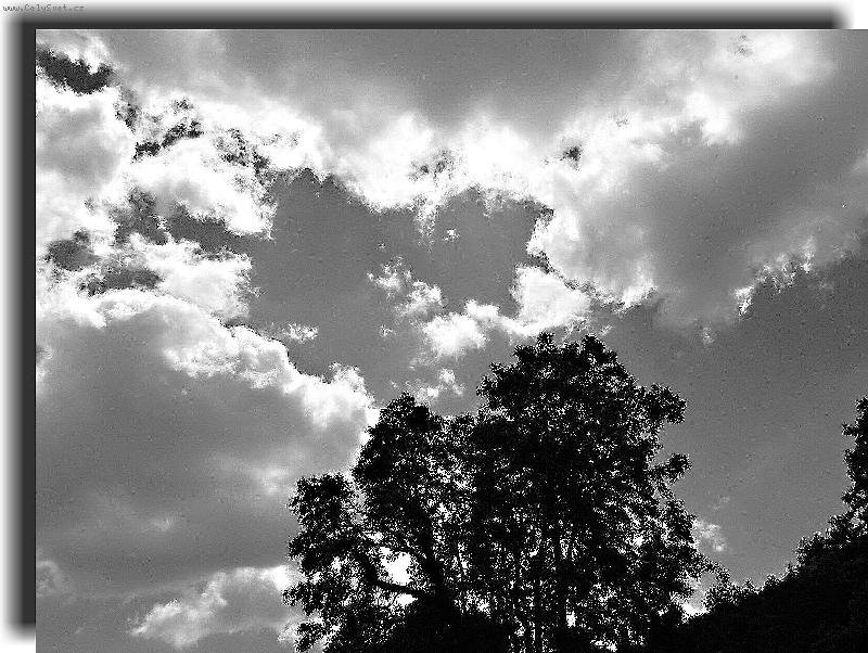 Foto: Obloha v �ern�m