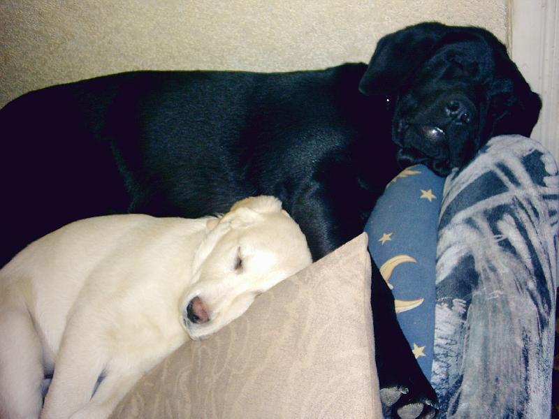 Foto: odpo�inek po ob�d�