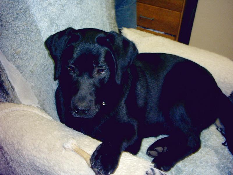 Foto: ta koste�ka je moje