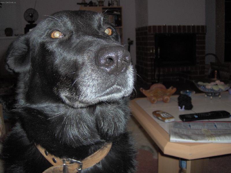 Foto: princezna-Aisha