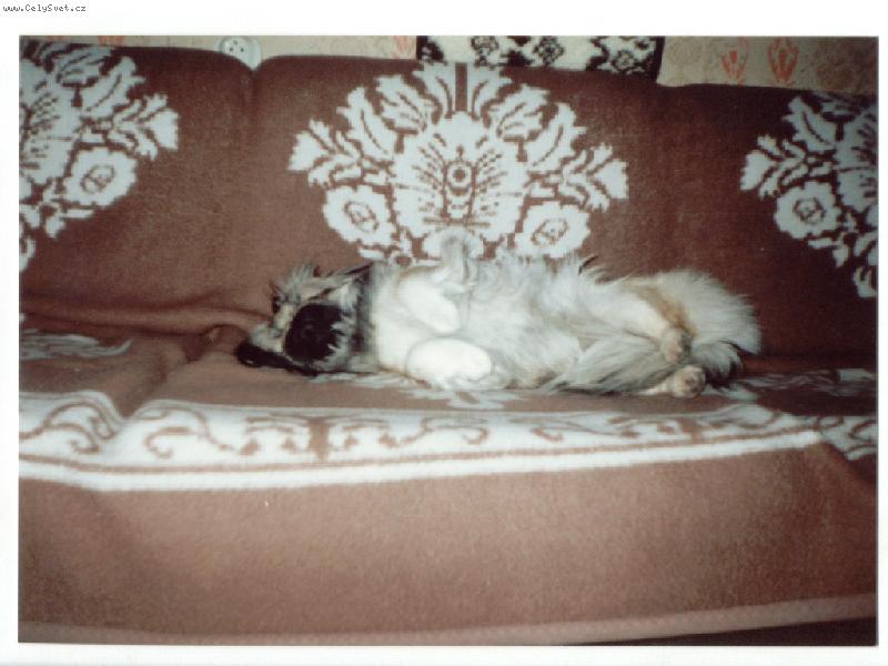 Foto: Nela-Pohldln� jsem si lehla .........