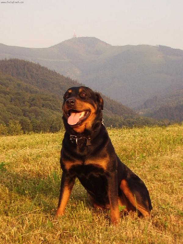 Foto: Verra-mil��ek