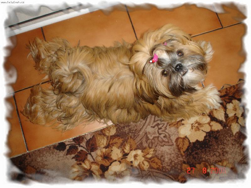 Foto: Odpo��v�m