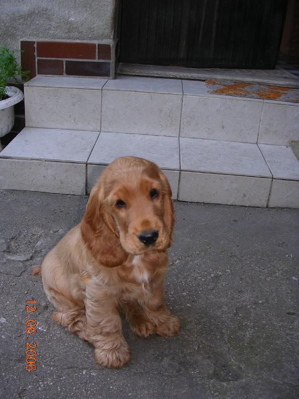 Foto: Tadeas Marcato Line