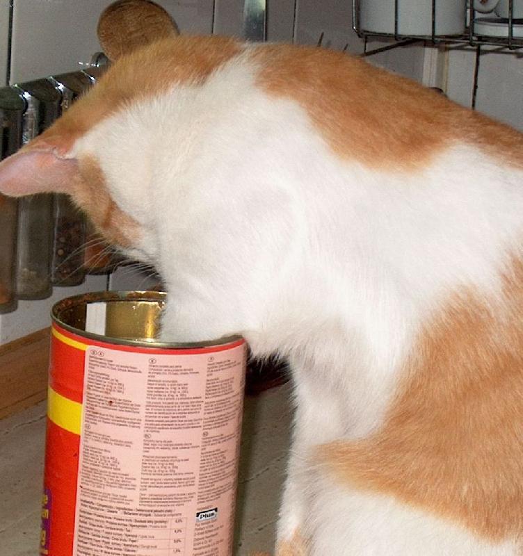 Foto: S�m si va��m...-kdy� mi nedaj� naj�st ...:))