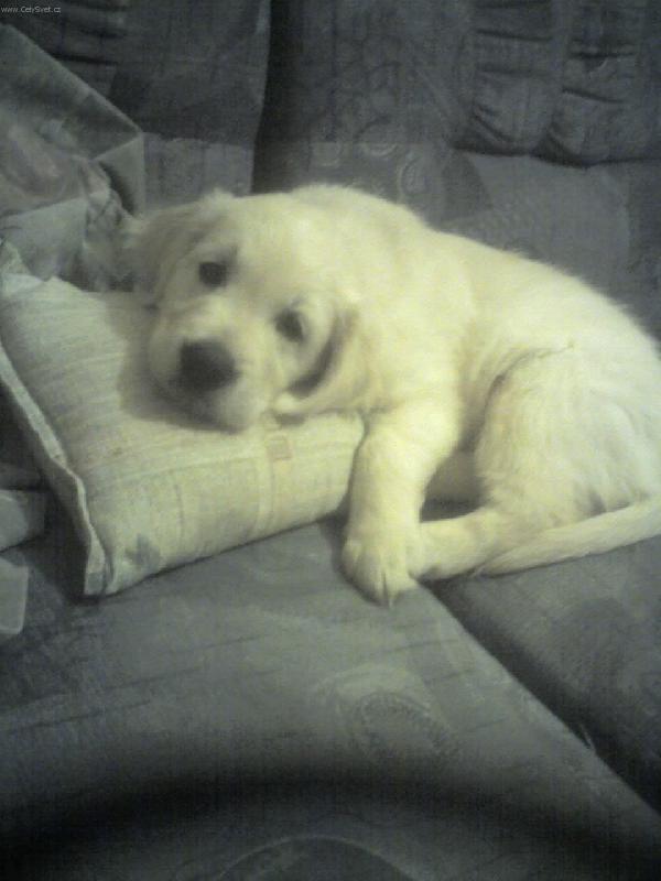 Foto: To je pohoda...