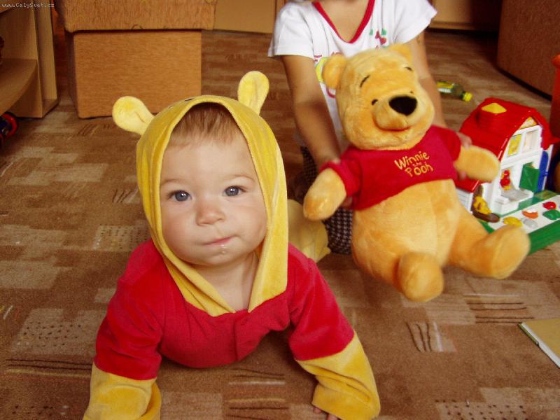 Foto: Dva medv�dci P�-V�te, kter� je ten prav�?