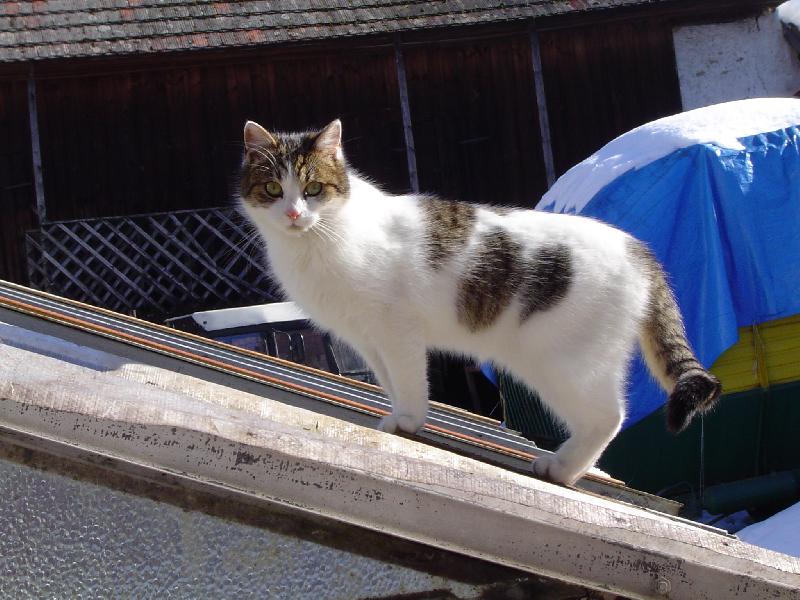 Foto: sklen�kolezec:)-ohodno�te sklen�kolezce