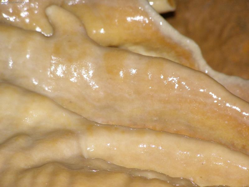 Foto: Kon�prusk� jeskyn�