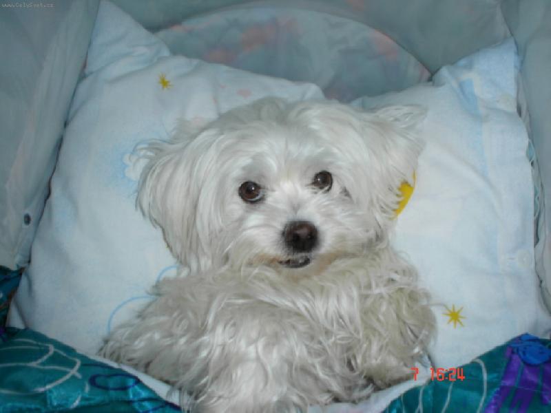 Foto: Peggy v ko��rku