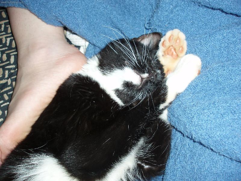 Foto: Hezky me hrej!