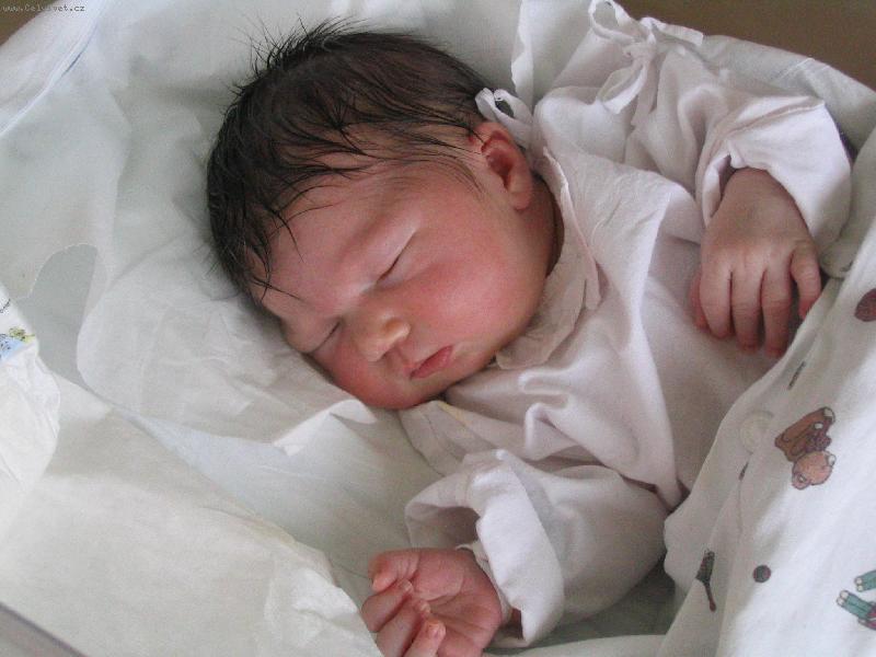 Foto: kate�inka-prvn� den na sv�t�