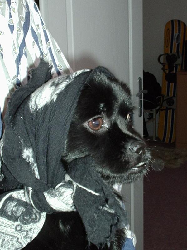 Foto: �ern� Karkulka-Nenechte se zm�st m�m v�razem:) jsem dravec!