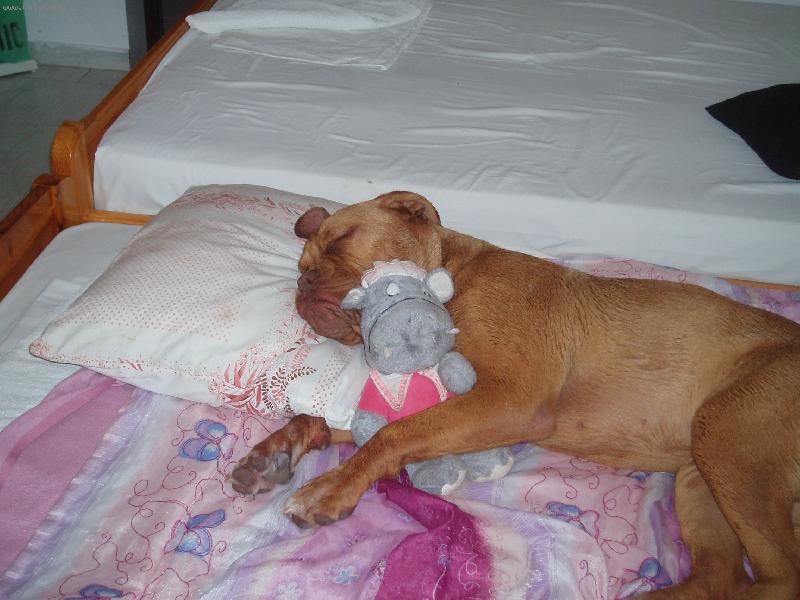 Foto: sladk� sny-Samira