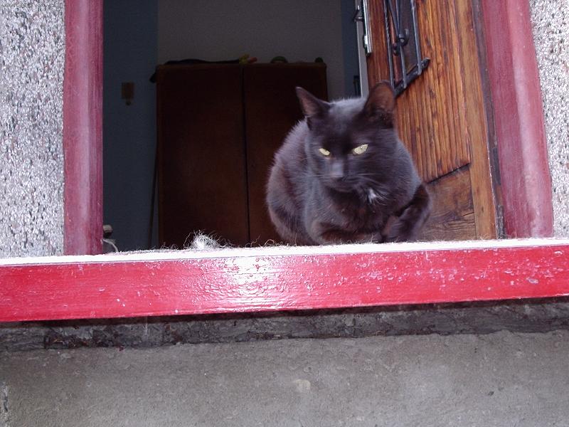 Foto: Quido-Meditace