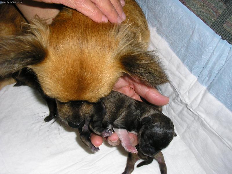 Foto: Deset minut na sv�t� !