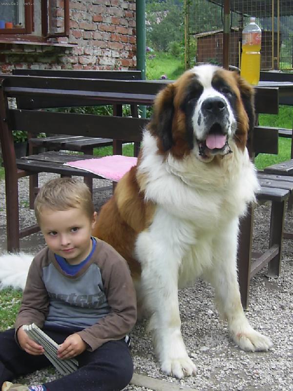 Foto: Bucci a Pep�a-Nerozlu�n� dvojka