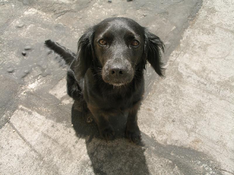 Foto: Ketynka na balkon�