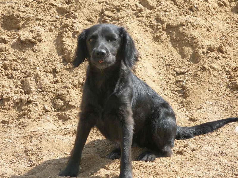 Foto: kr�sn� jaz��ek =D