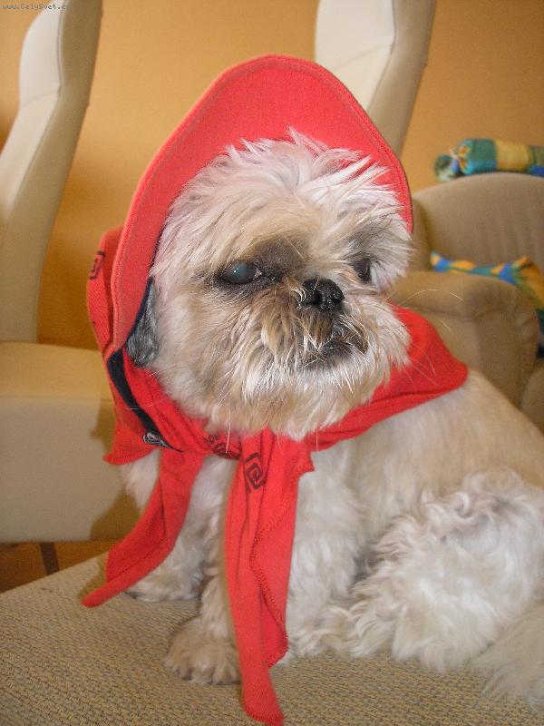 Foto: Tak to jsem j�.-Jsem krasavec co?Nebo ne?