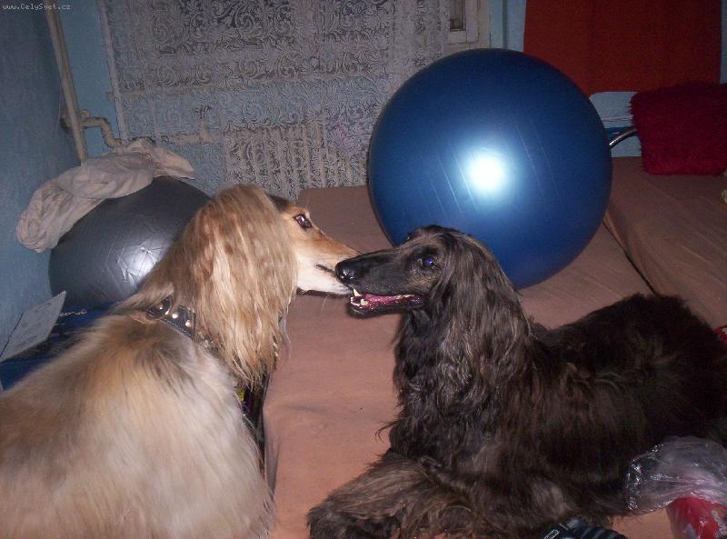 Foto: Argon a Cidinka-mlask:o))