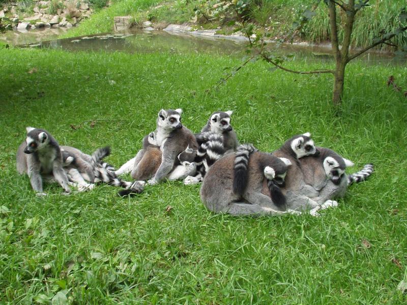 Foto: Poledn� odpo�inek